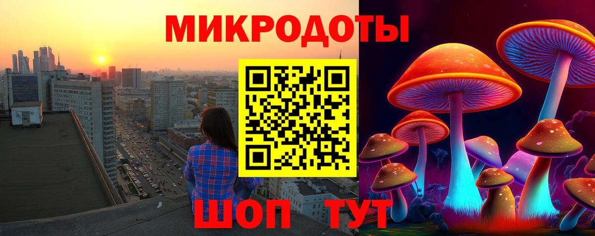 Галлюциногенные грибы Psilocybine cubensis  Вход с VPN  Псилоцибиновые грибы прущие грибы  Гатчина 